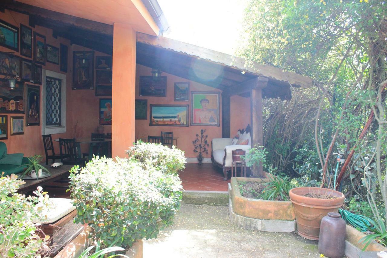 B&B Country Lemon Santa Marta Exteriér fotografie
